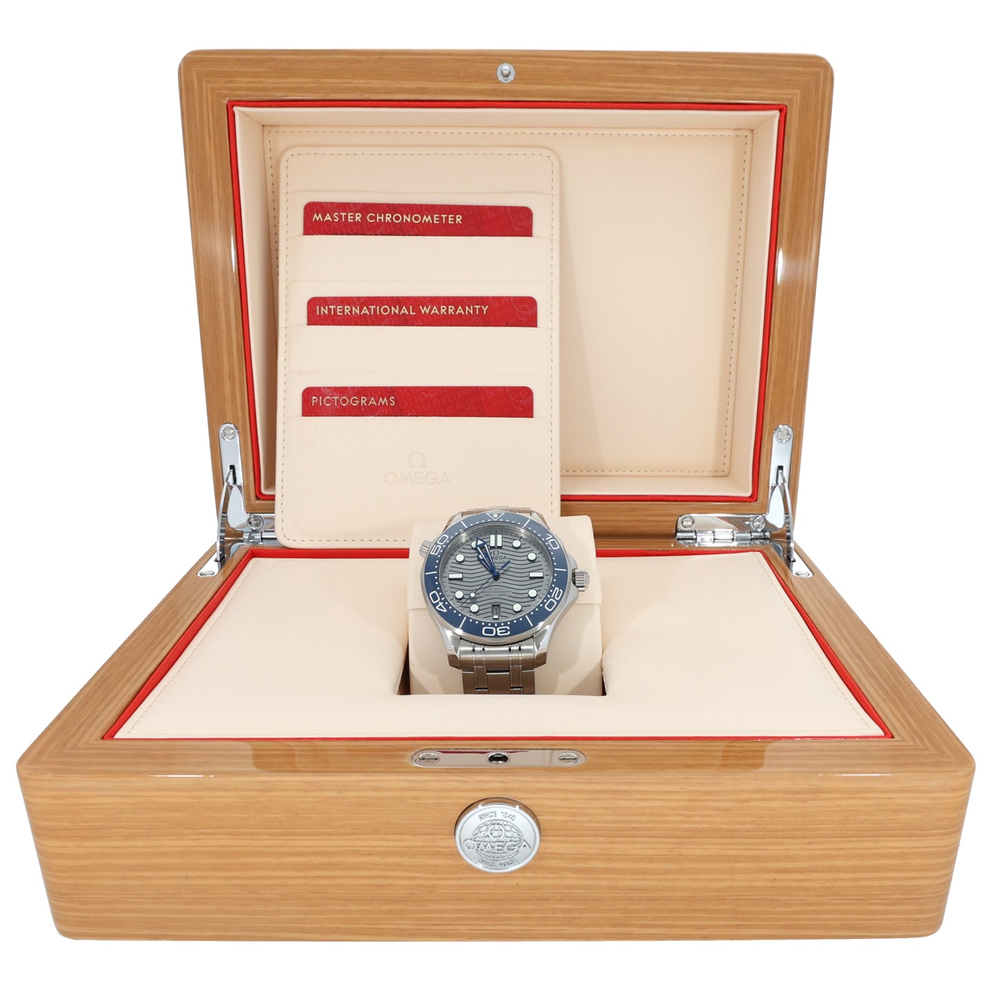 Omega Seamaster 210.30.42.2006.001 42mm Stainless Steel Watch