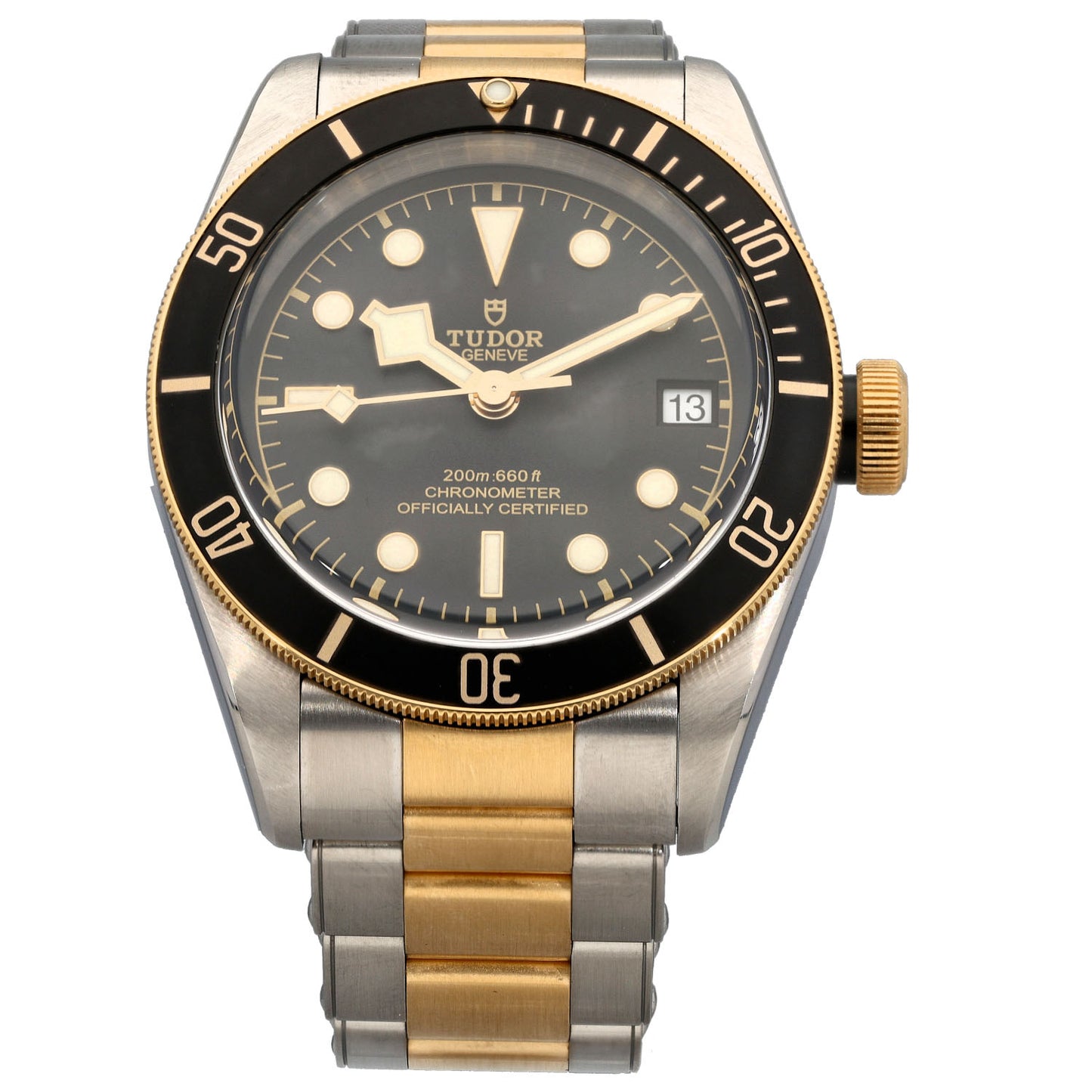 Tudor Black Bay 79733 41mm Bi-Colour Watch