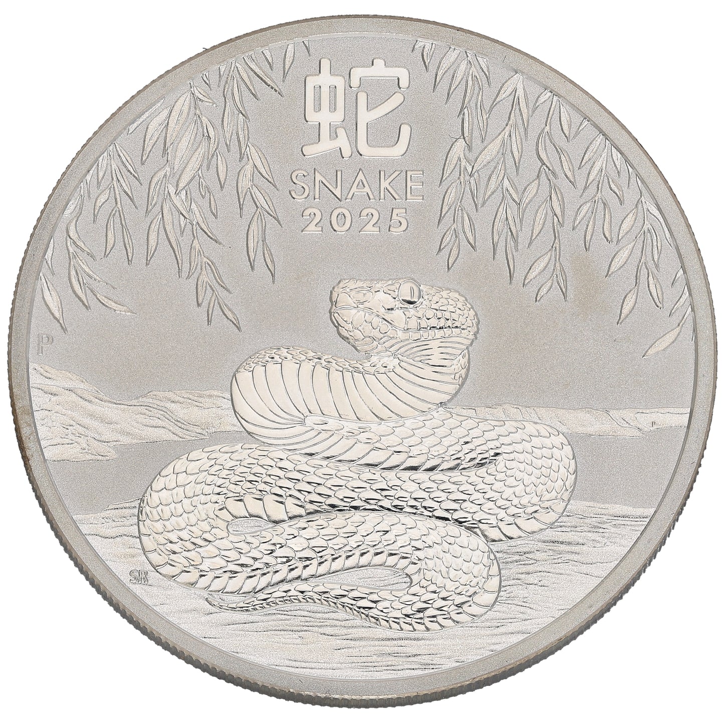 Fine Silver Year Of The Snake 1 OZ Coin 2025