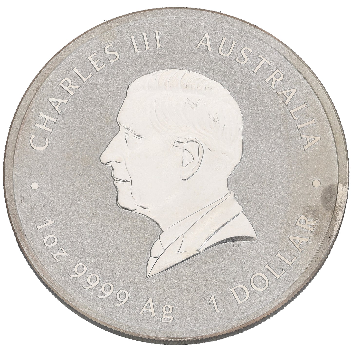 Fine Silver Year Of The Snake 1 OZ Coin 2025