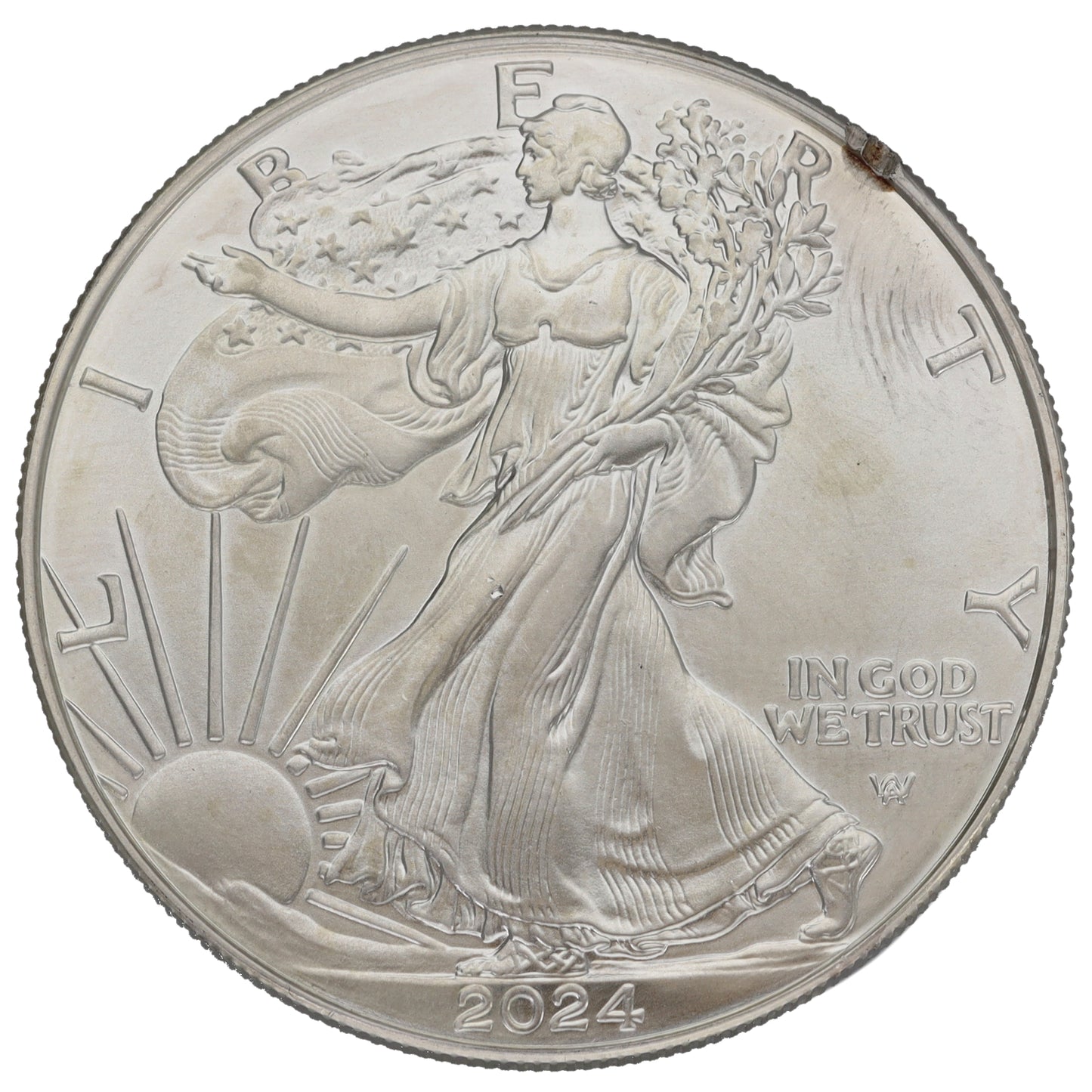 Fine Silver USA Eagle 1 OZ Coin 2024