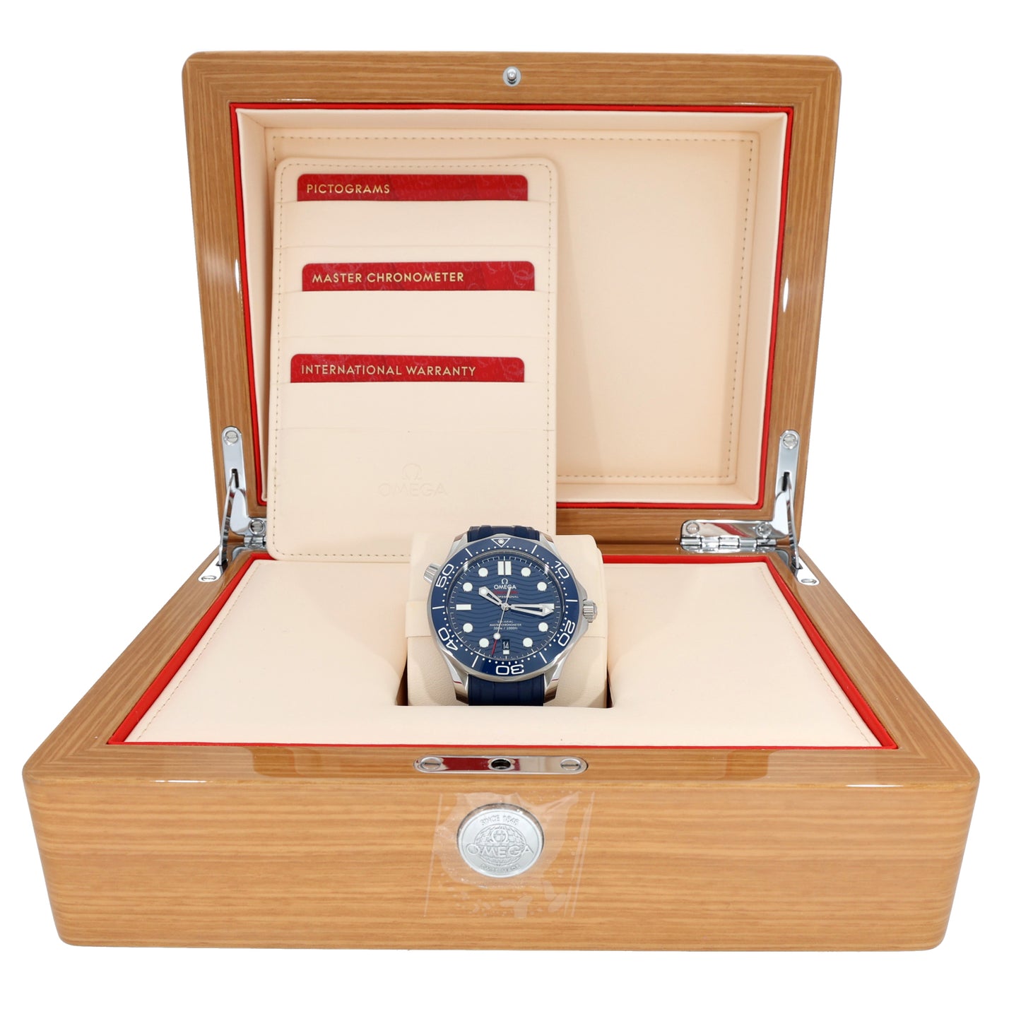 Omega Seamaster 210.32.42.20.03.001 42mm Stainless Steel Watch