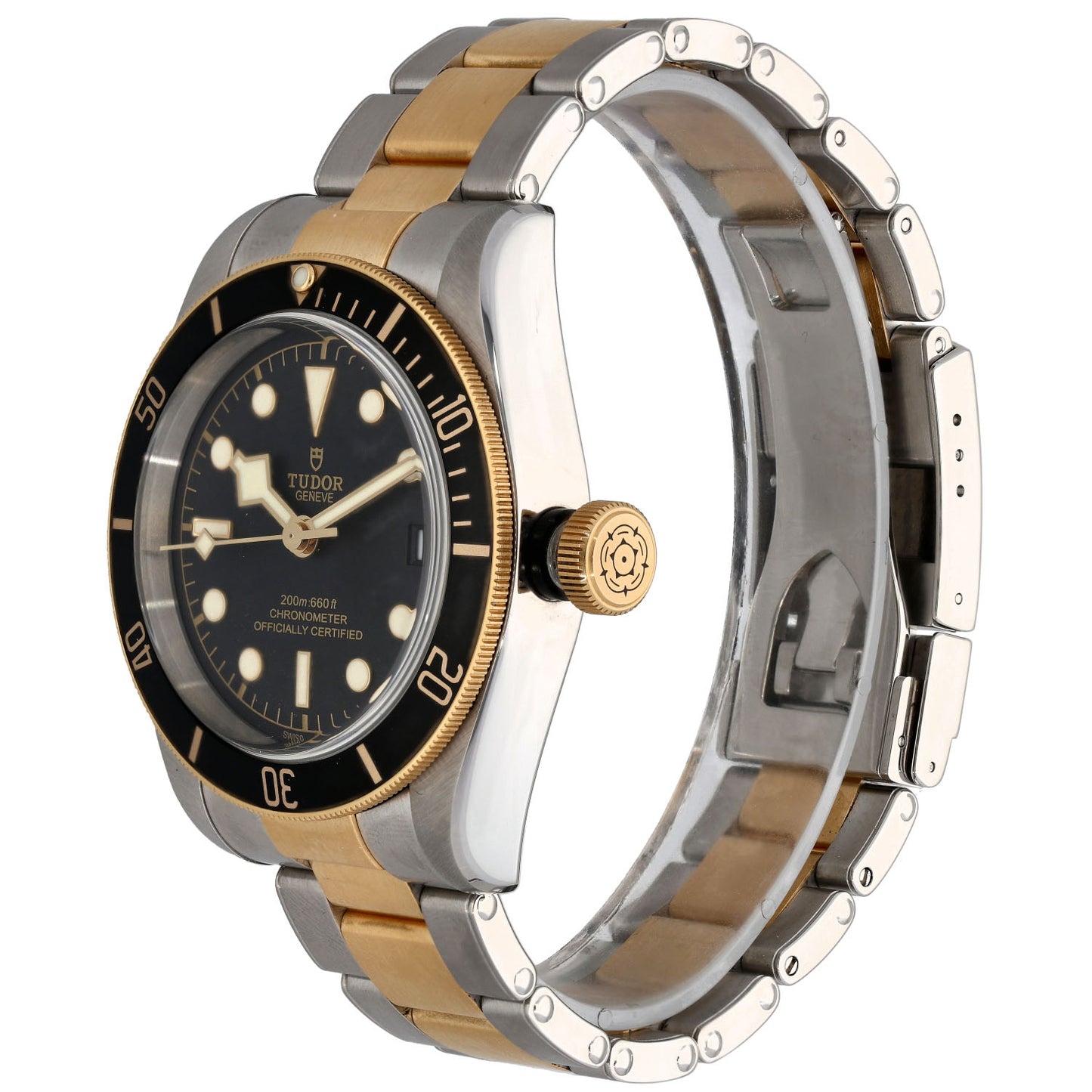Tudor Black Bay 79733 41mm Bi-Colour Watch