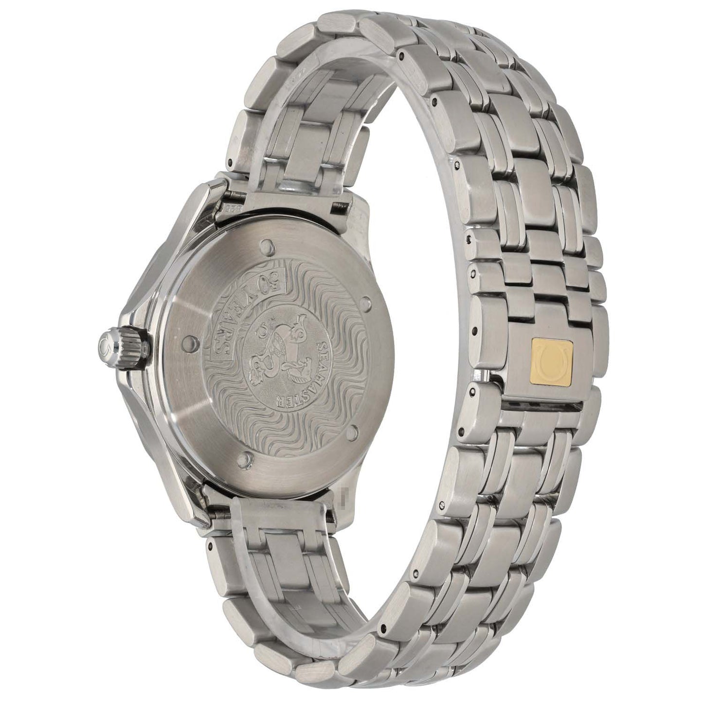 Omega Seamaster 300 GMT 2534.50.00 41mm Stainless Steel Watch
