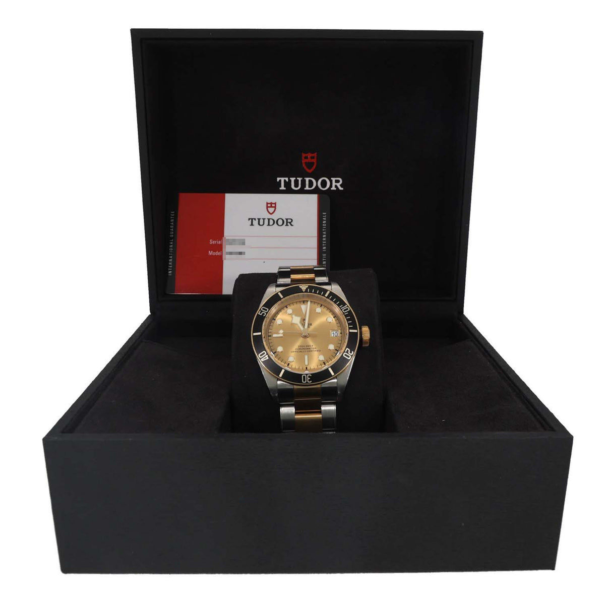 Tudor Black Bay 79733 41mm Bi-Colour Watch