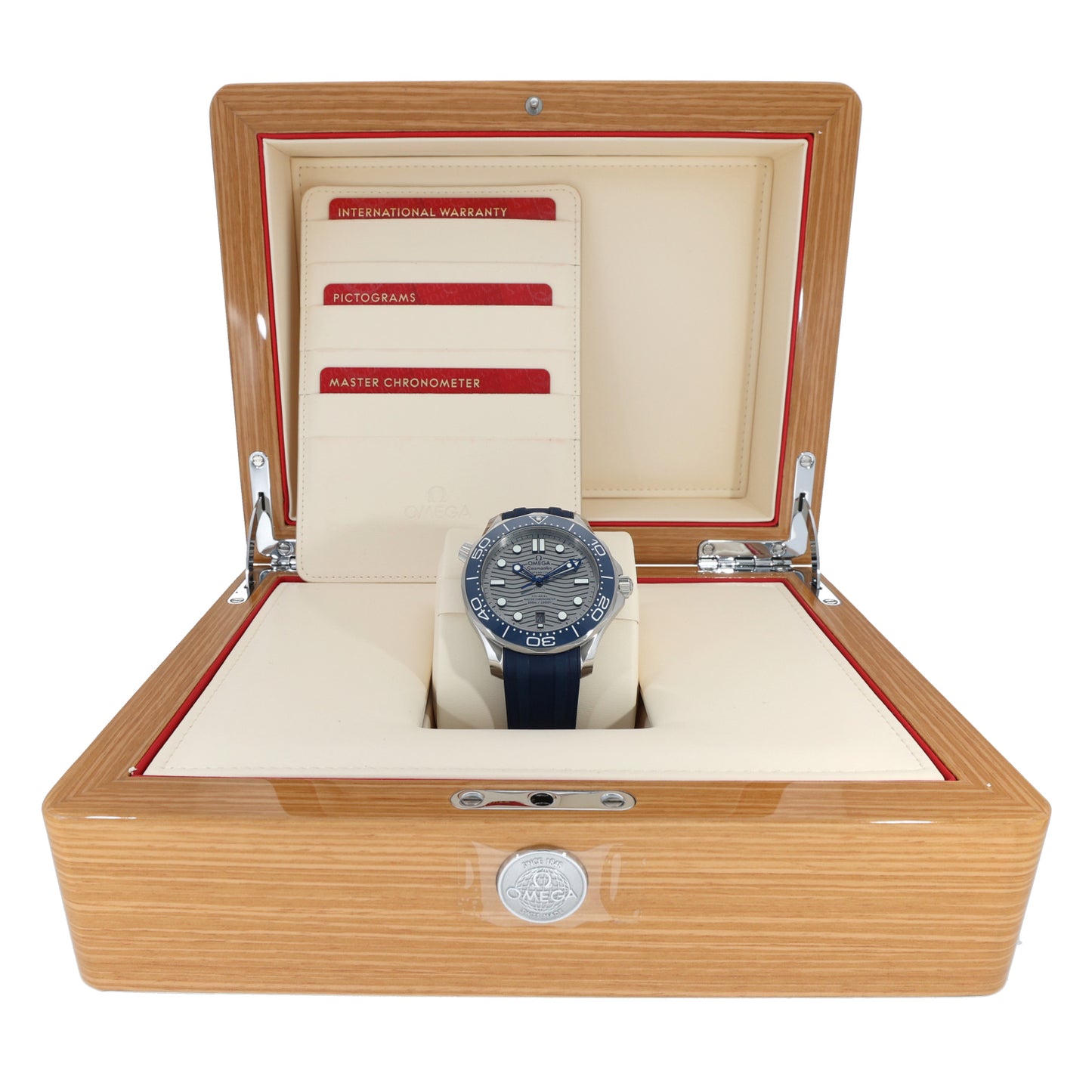 Omega Seamaster 210.32.42.20.06.001 42mm Stainless Steel Watch