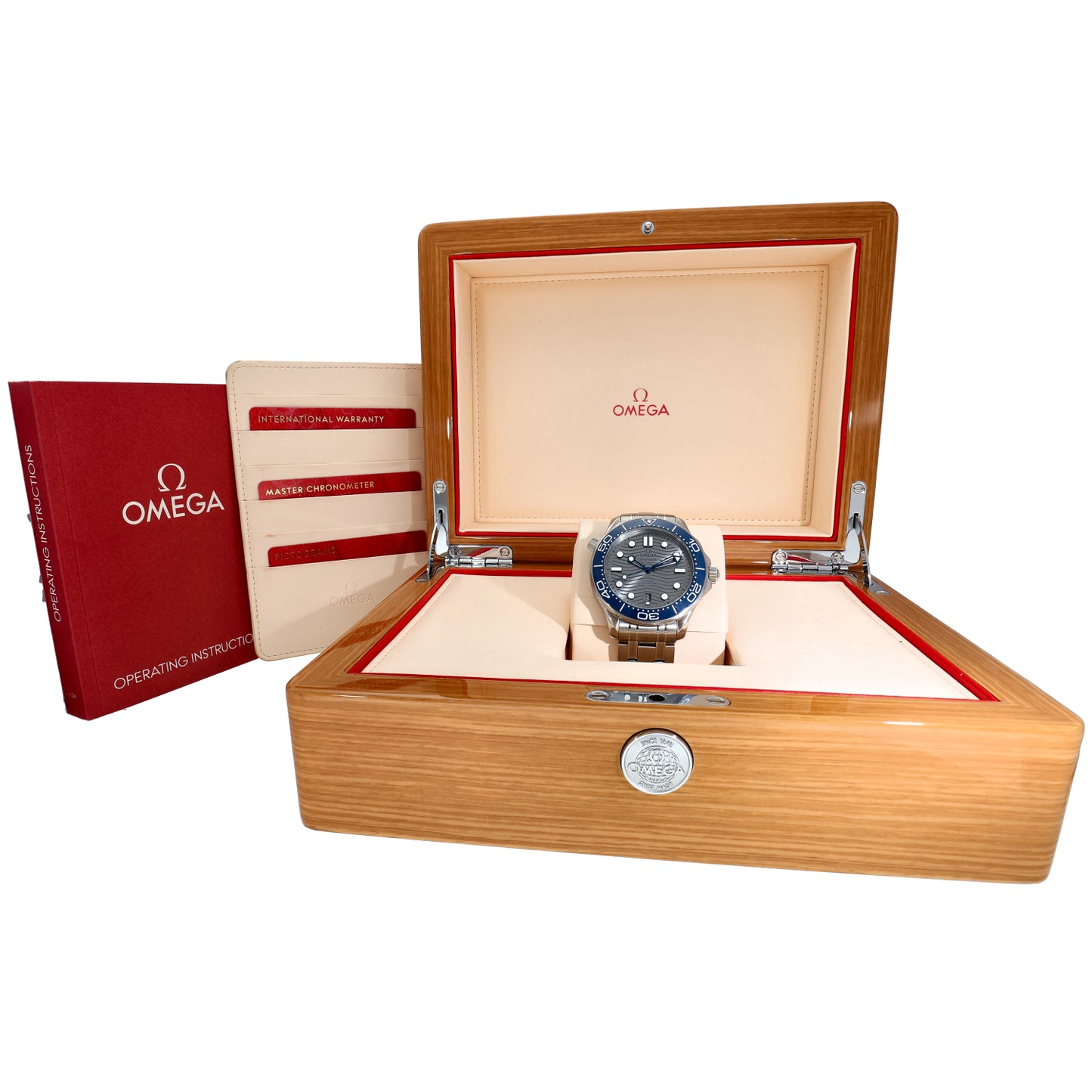 Omega Seamaster 210.30.42.20.06.001 42mm Stainless Steel Watch