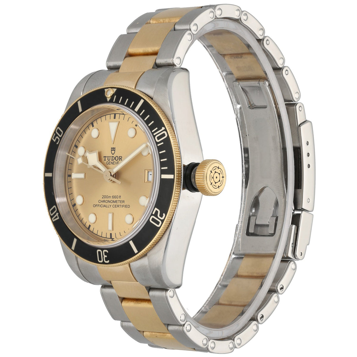 Tudor Black Bay 79733 41mm Bi-Colour Watch