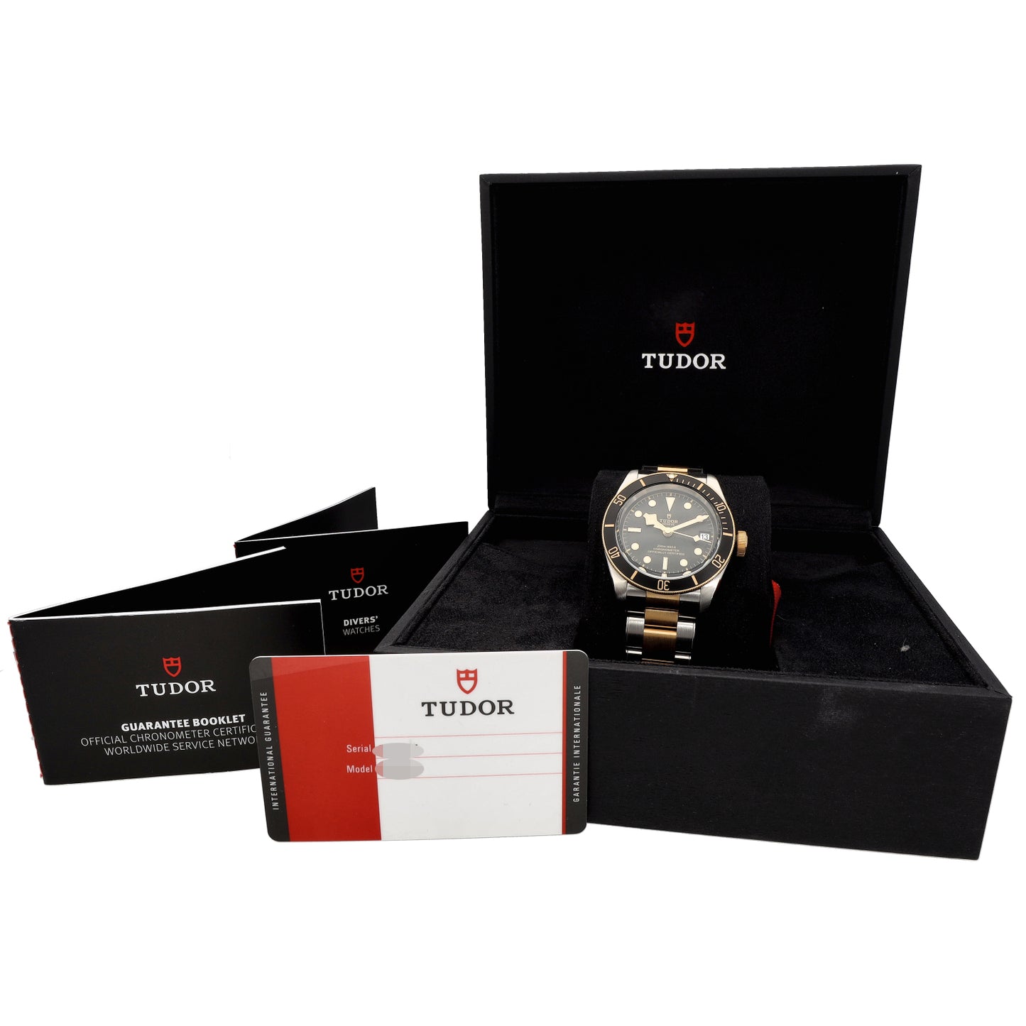 Tudor Black Bay 79733 41mm Bi-Colour Watch