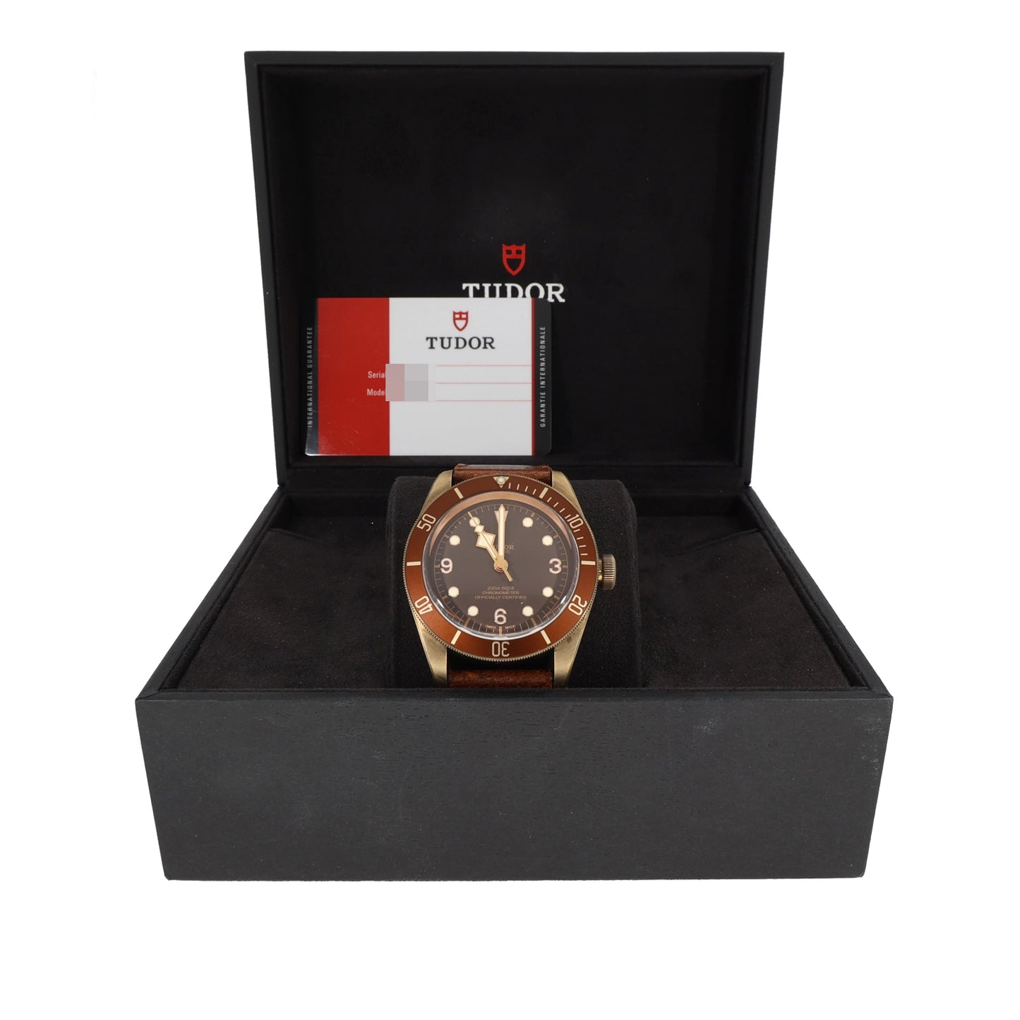 Tudor Black Bay 79250B 43mm Bronze Watch