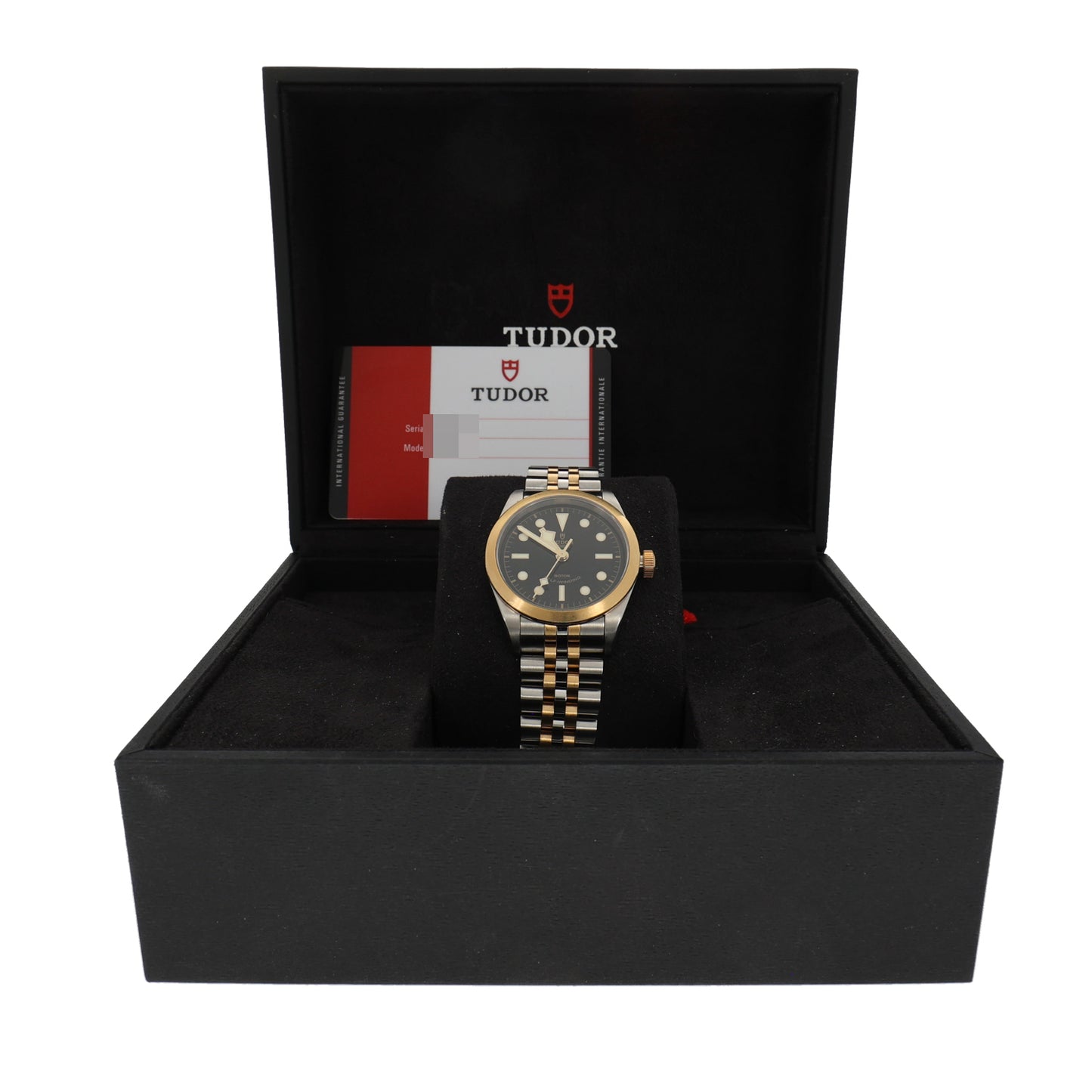 Tudor Black Bay 79503 36mm Bi-Colour Watch