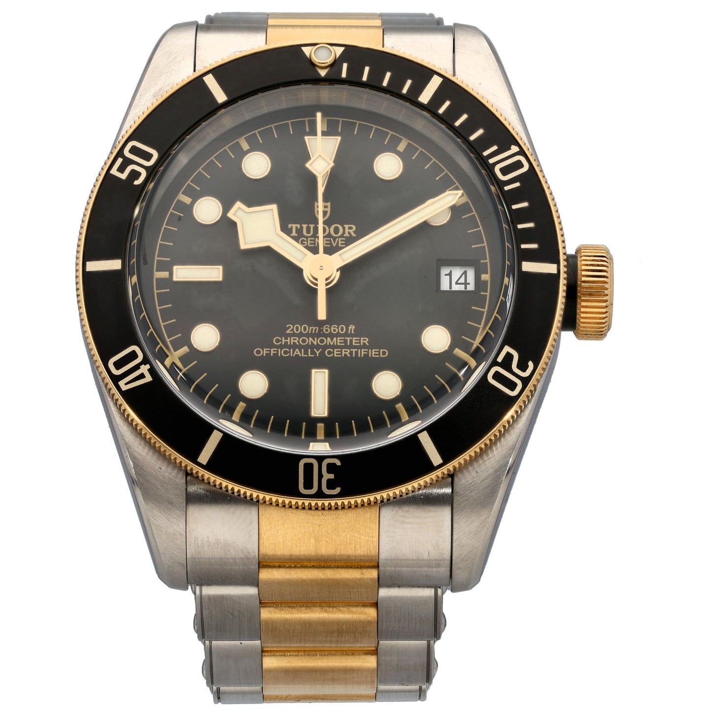 Tudor Black Bay 79733 41mm Bi-Colour Watch