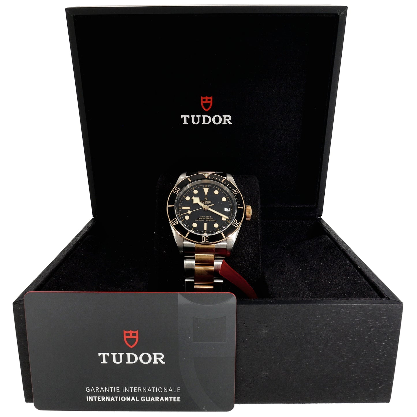 Tudor Black Bay 79733 41mm Bi-Colour Watch