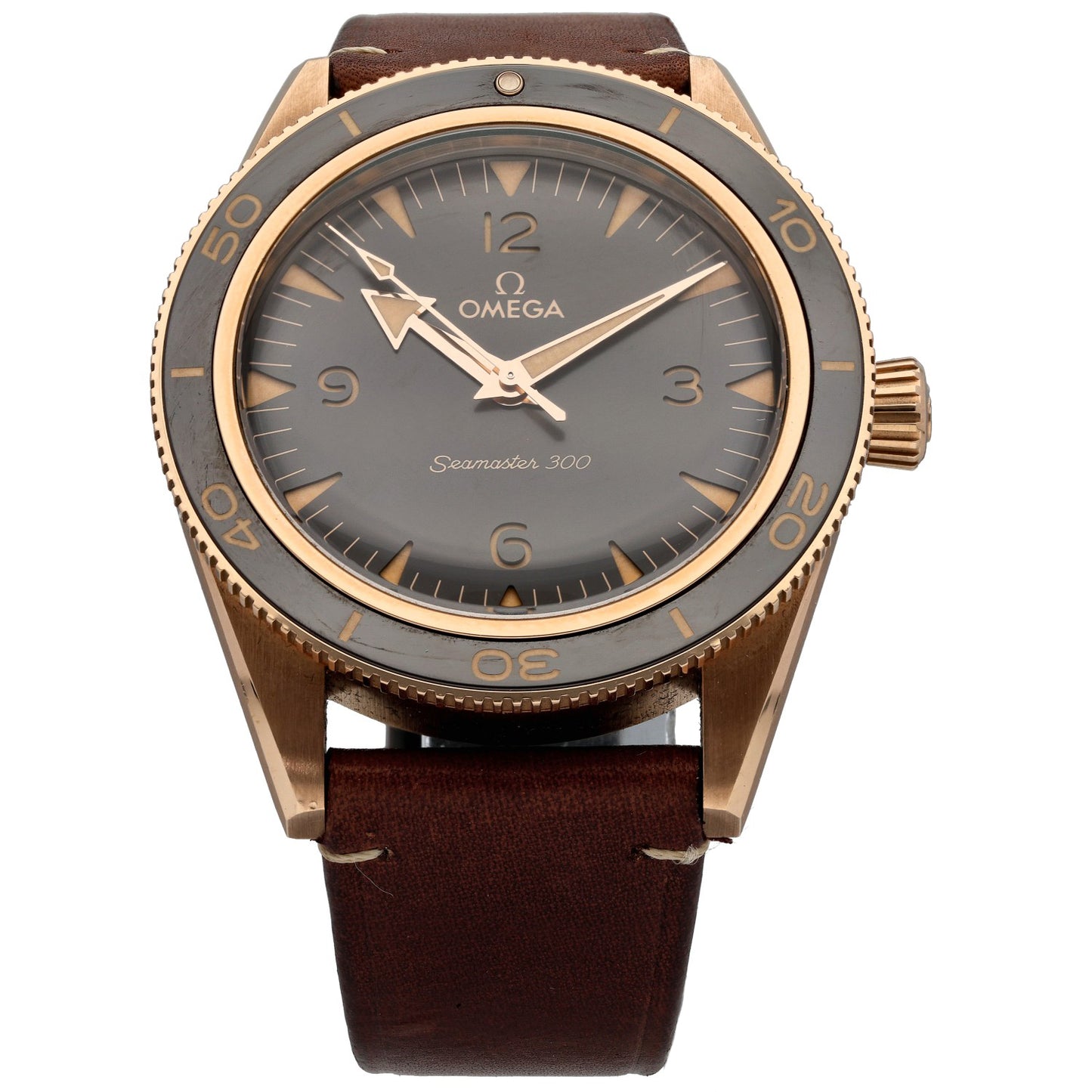 Omega Seamaster 300 234.92.41.21.10.001 41mm Gold Watch