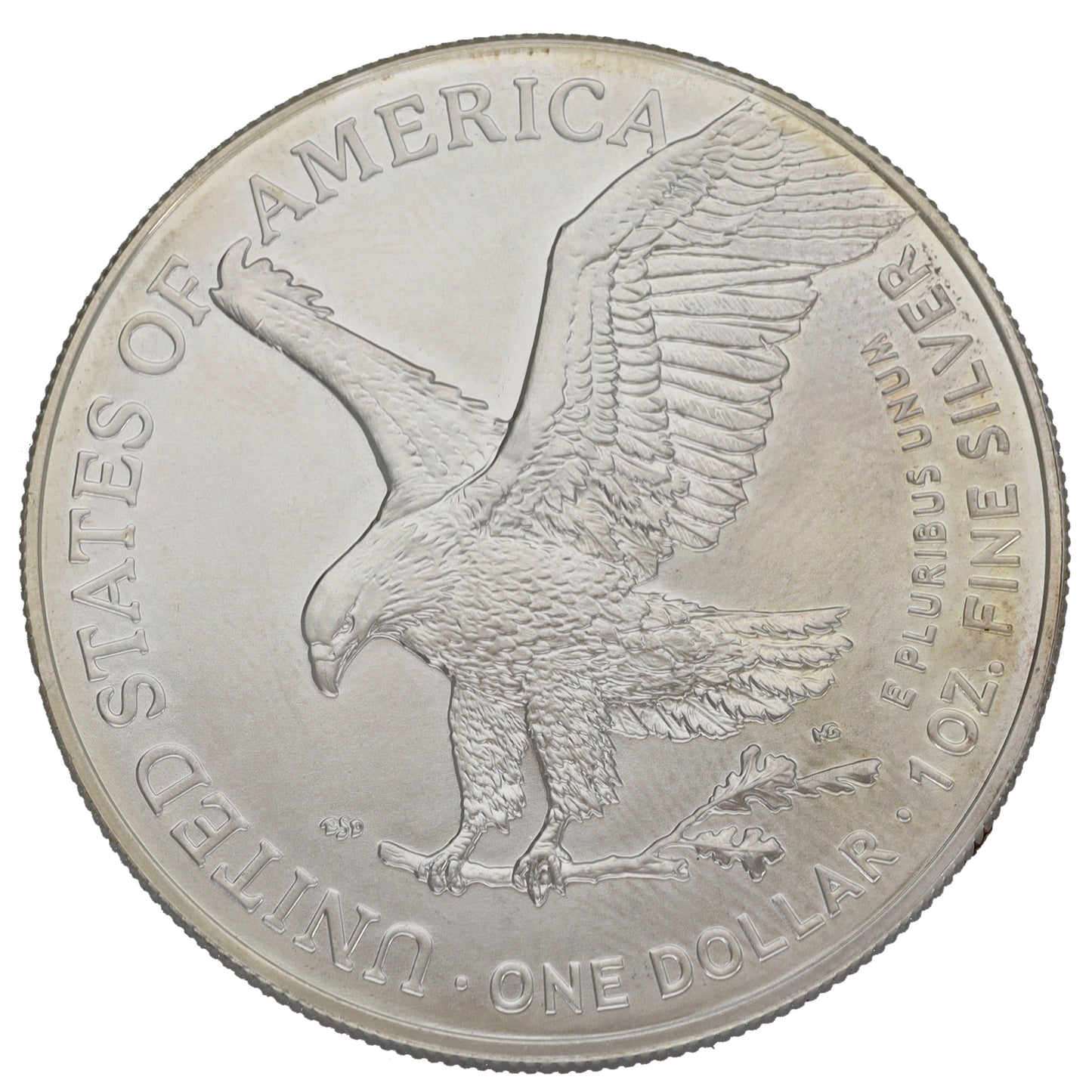 Fine Silver USA Eagle 1 OZ Coin 2024