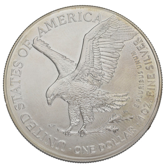 Fine Silver USA Eagle 1 OZ Coin 2024
