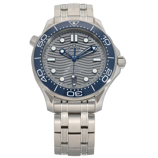 Omega Seamaster 210.30.42.2006.001 42mm Stainless Steel Watch