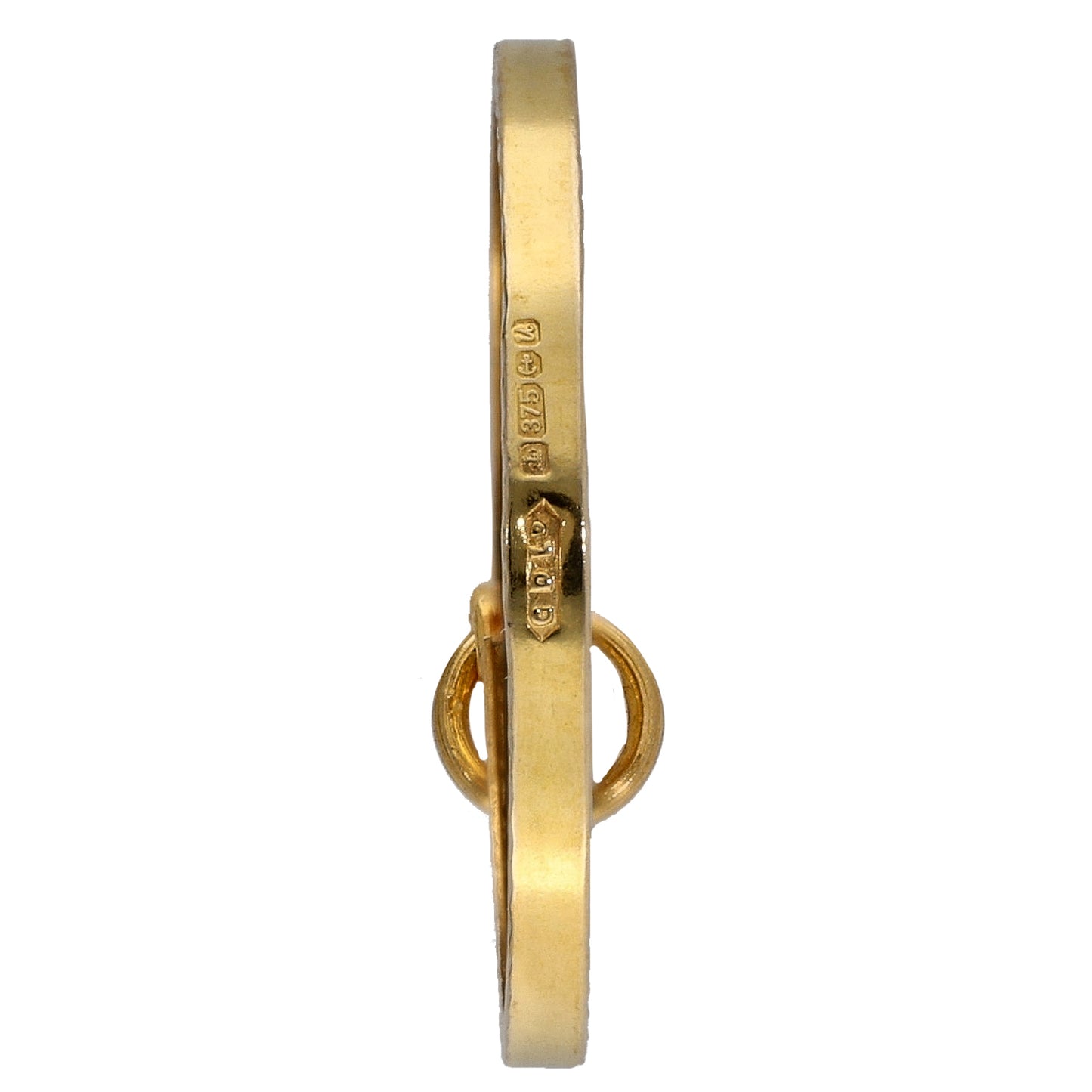 9ct Gold Half Sovereign Coin Pendant