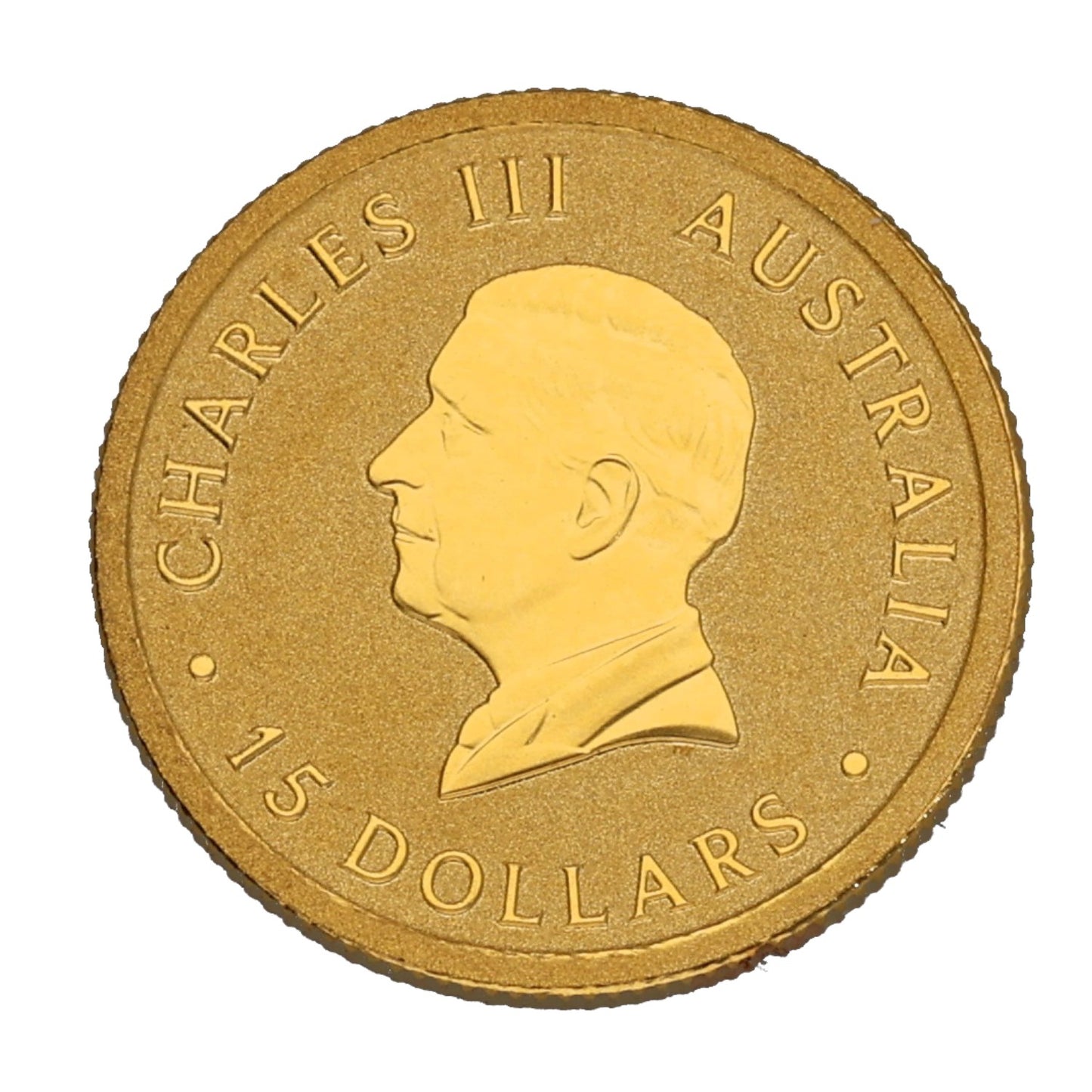 24ct Gold Australian Kangaroo 1/10 OZ Coin 2024