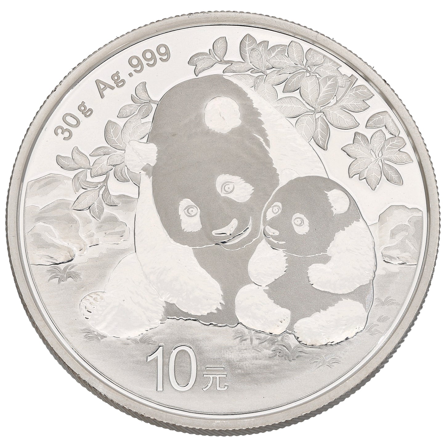 Fine Silver Chinese Panda 1 OZ Coin 2024