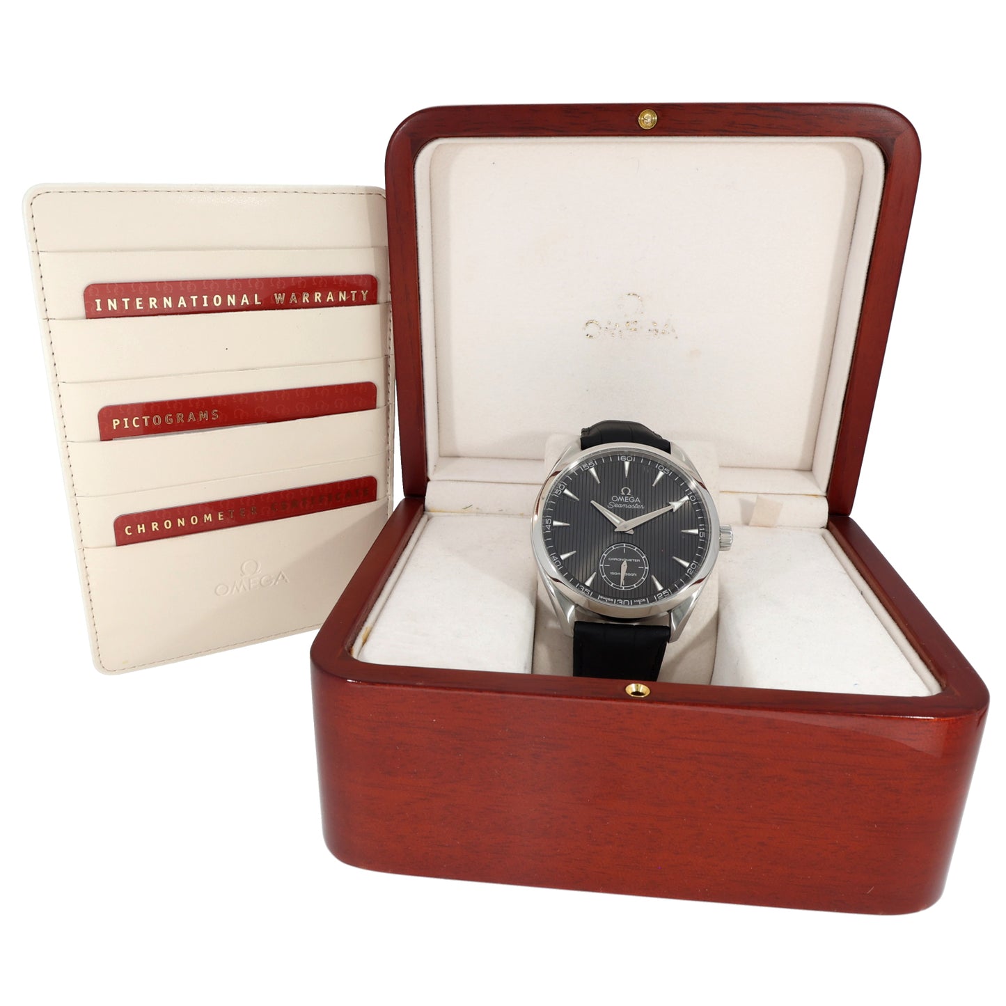 Omega Seamaster Aqua Terra 231.13.49.10.06.001 49.2mm Stainless Steel Watch