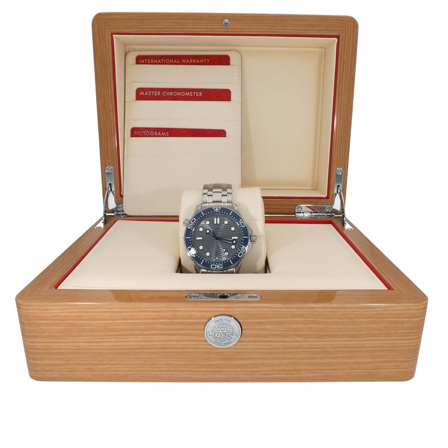 Omega Seamaster 210.30.42.20.06.001 42mm Stainless Steel Watch