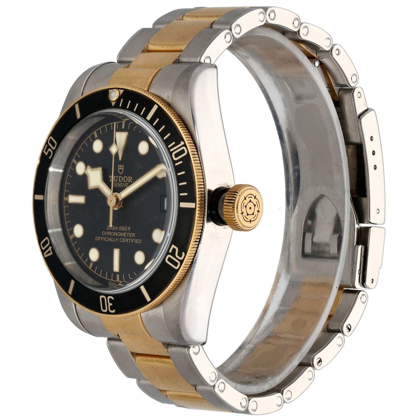 Tudor Black Bay 79733 41mm Bi-Colour Watch