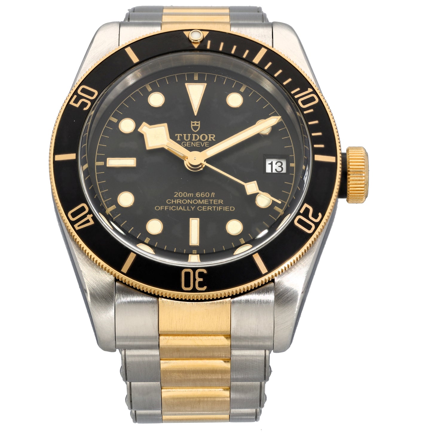 Tudor Black Bay 79733 41mm Bi-Colour Watch