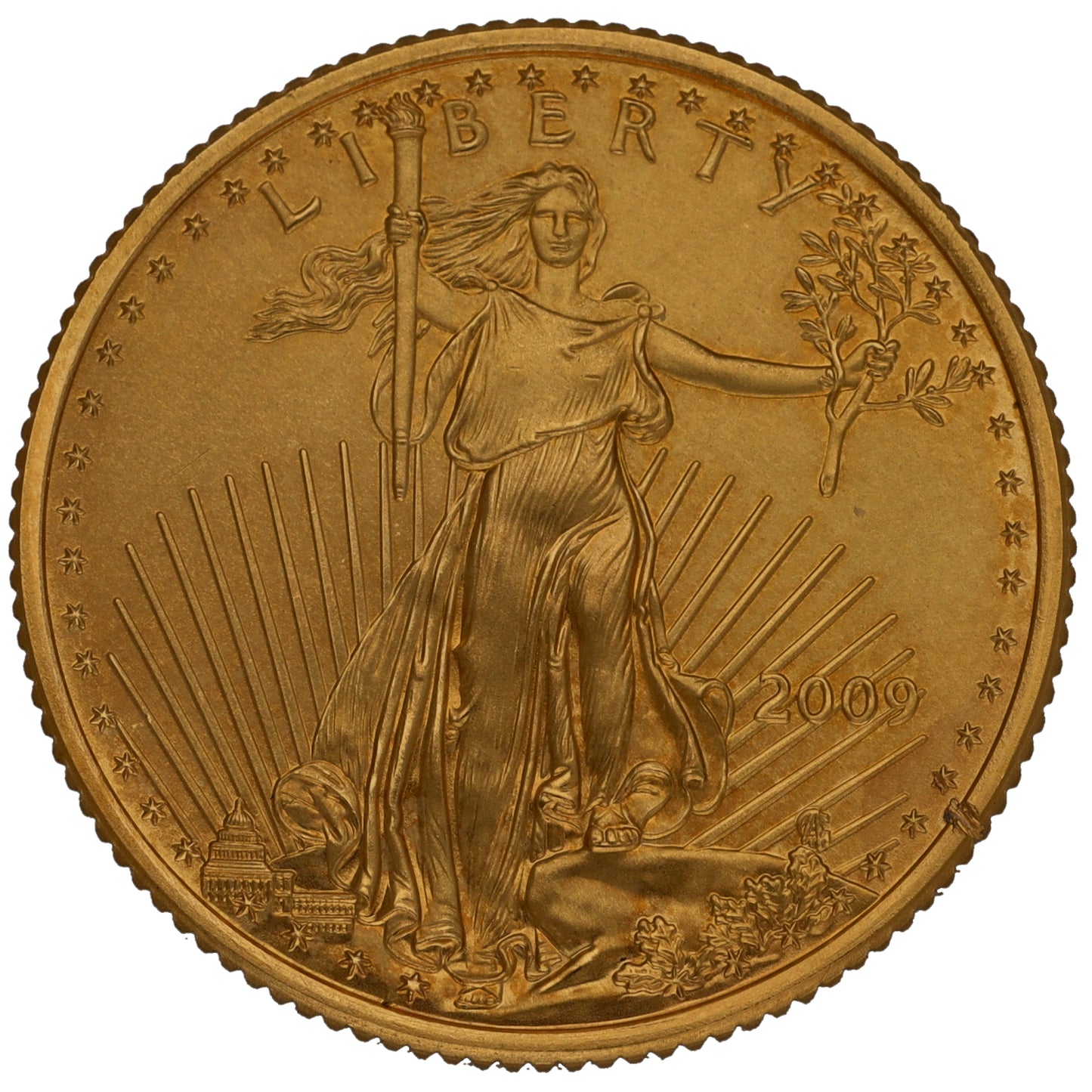 22ct Gold USA Eagle 1/4 OZ Coin 2009