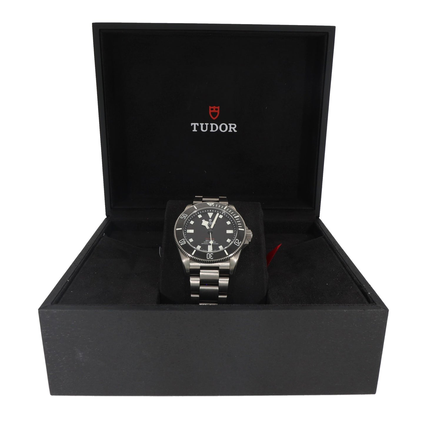 Tudor Pelagos 25407 39mm Titanium Watch