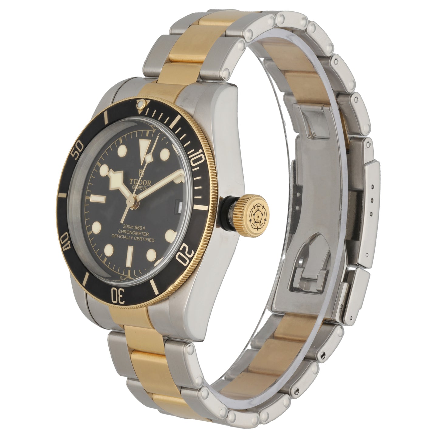 Tudor Black Bay 79733 41mm Bi-Colour Watch