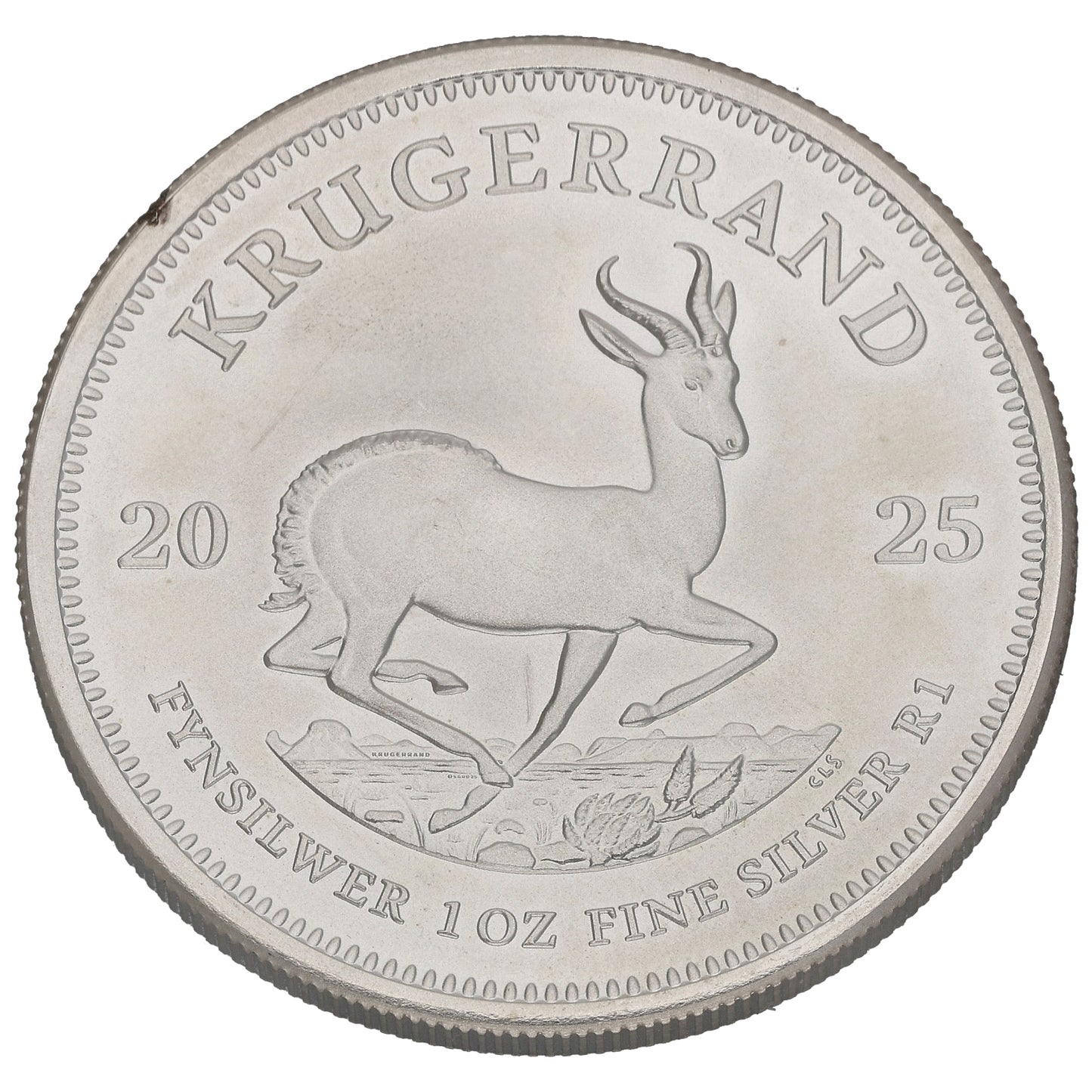 Fine Silver 1 OZ Krugerrand Coin 2025