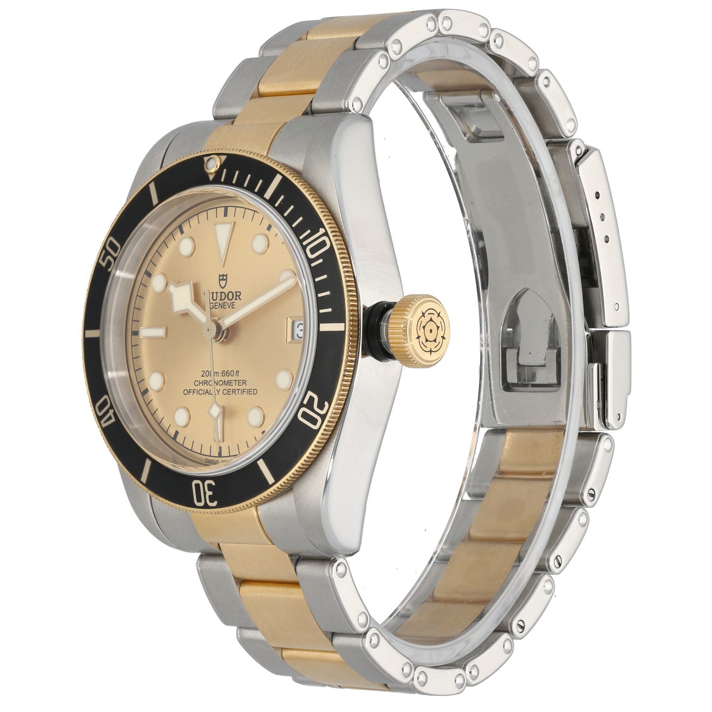 Tudor Black Bay 79733 41mm Bi-Colour Watch