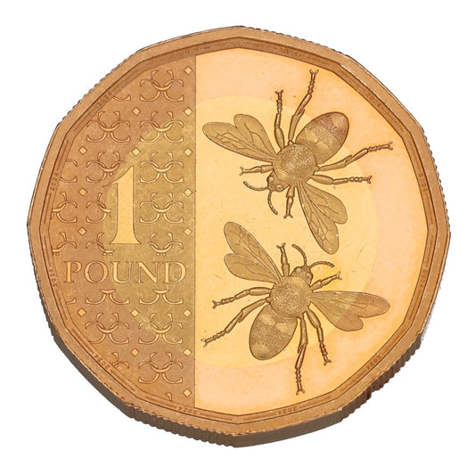 22ct Gold King Charles III Bees One Pound Coin 2024