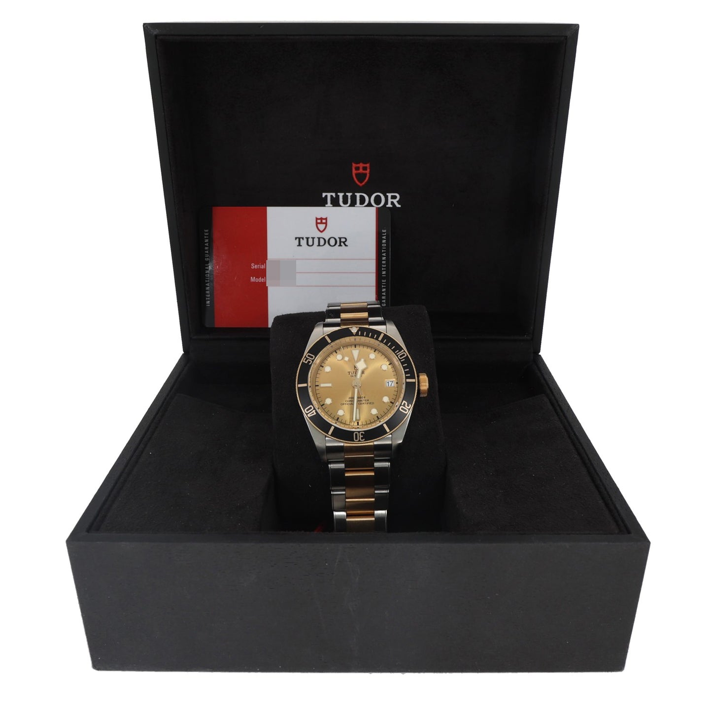 Tudor Black Bay 79733N 41mm Bi-Colour Watch