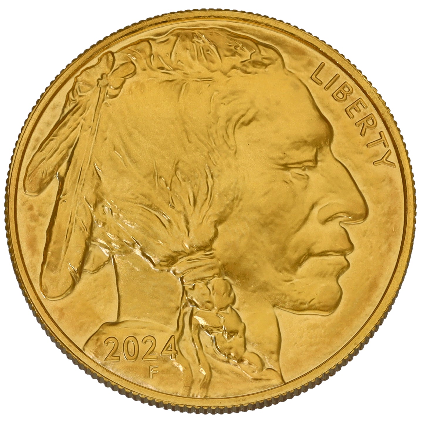 24ct Gold USA Buffalo 1 OZ Coin 2024