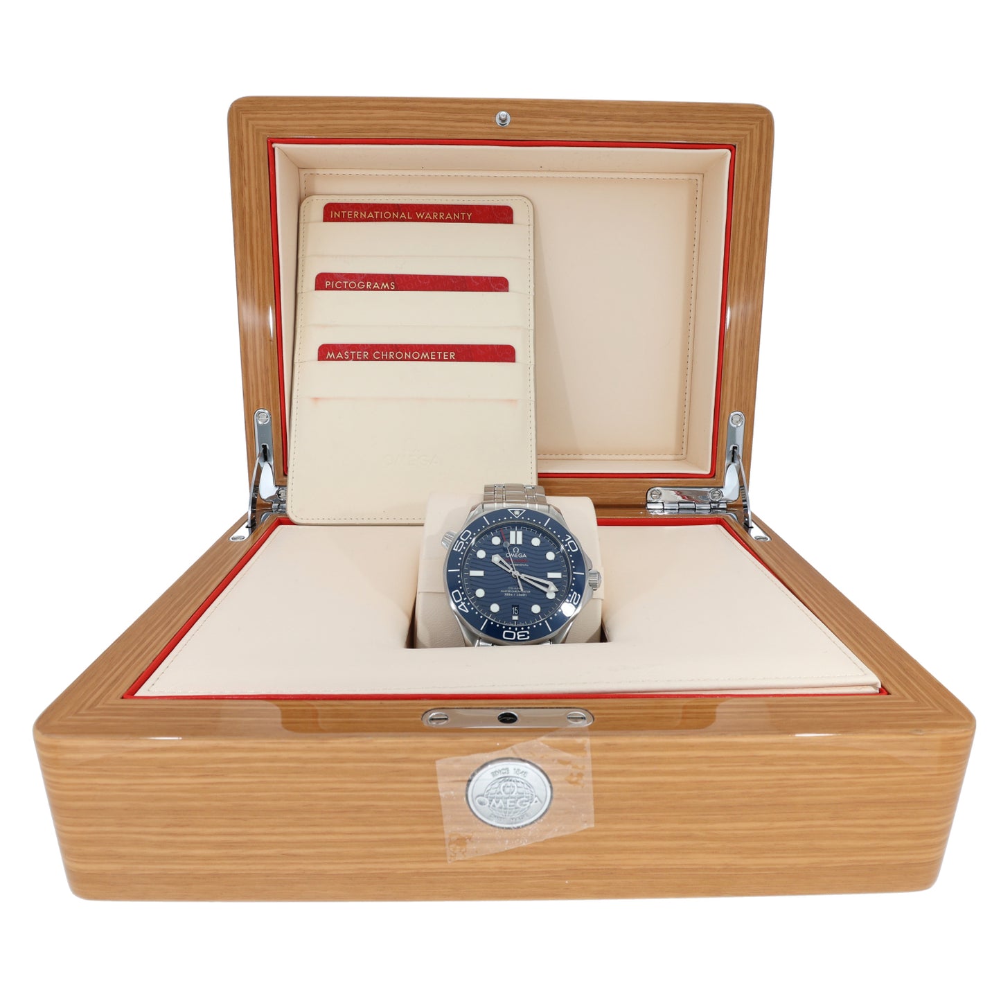 Omega Seamaster 210.30.42.20.03.001 42mm Stainless Steel Watch