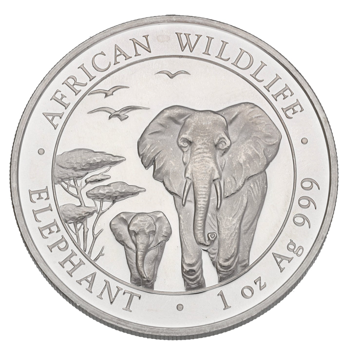 Fine Silver African Wildlife 1 OZ Coin 2015