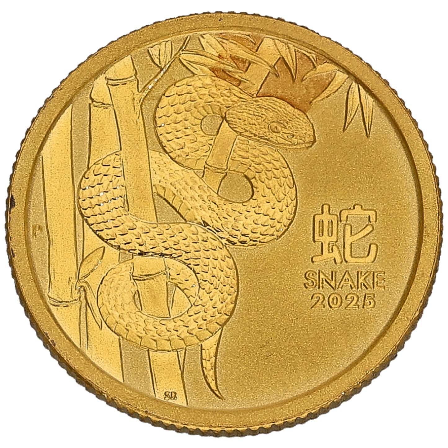 24ct Gold Year Of The Snake 1/20 OZ Coin 2025