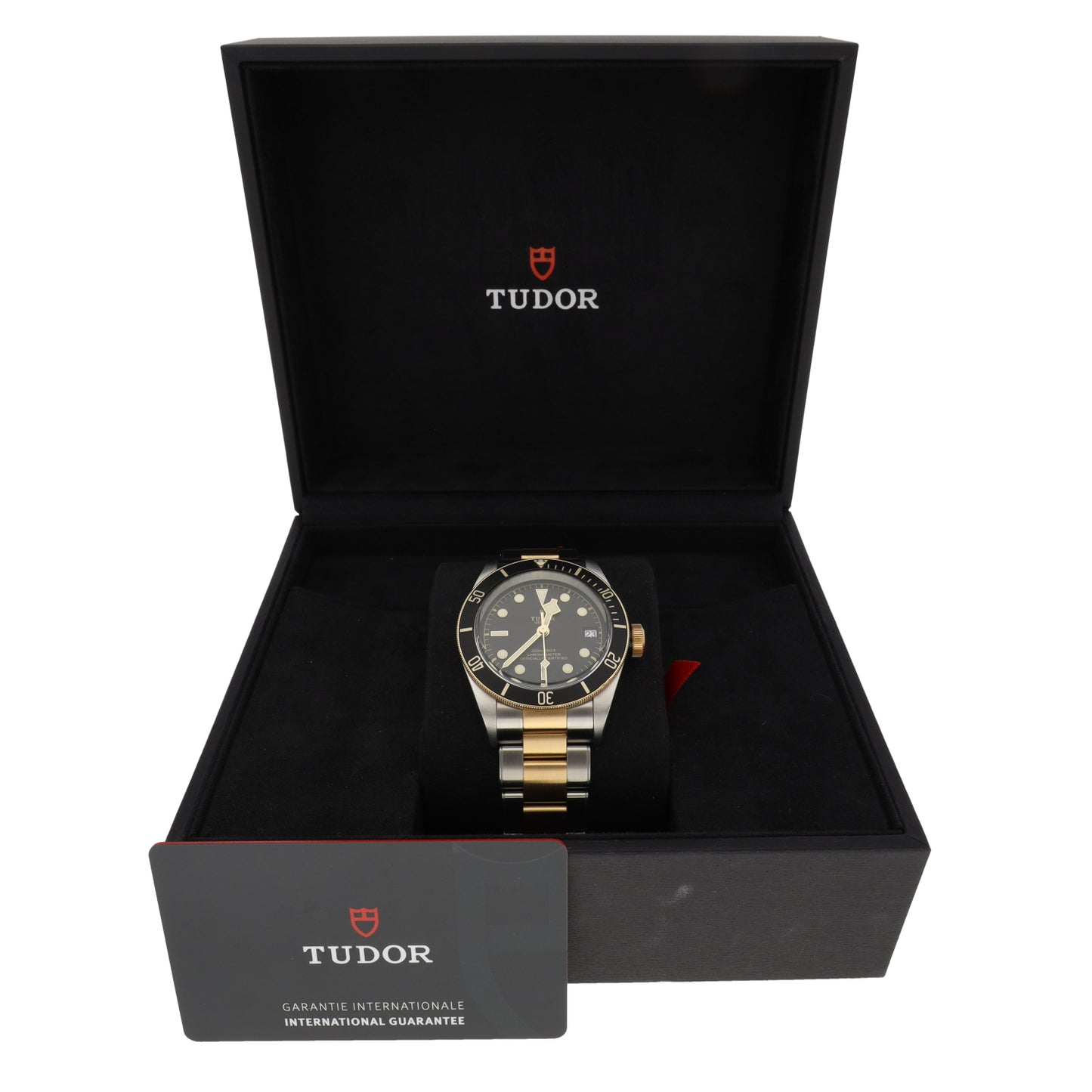 Tudor Black Bay 79733 41mm Bi-Colour Watch