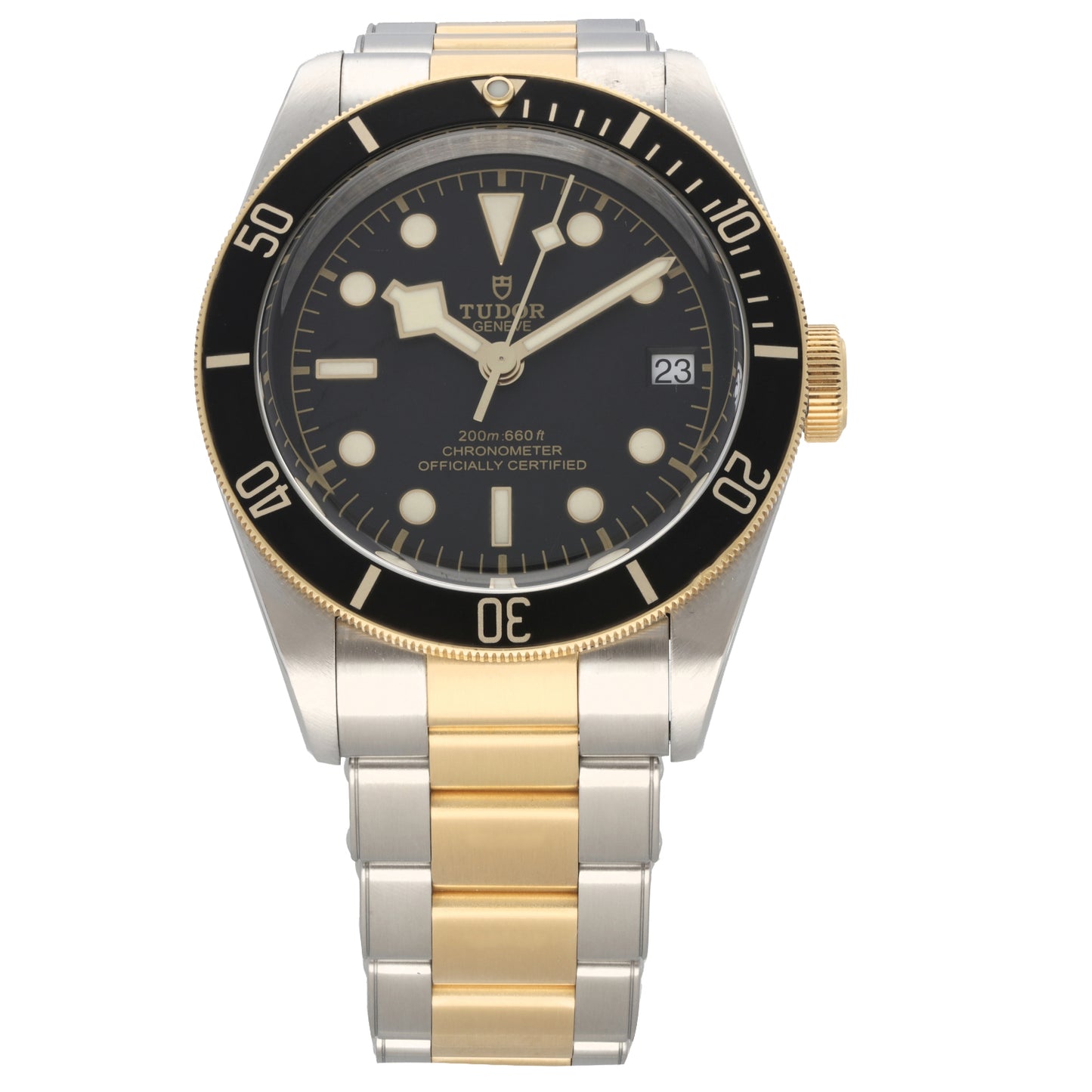 Tudor Black Bay 79733 41mm Bi-Colour Watch