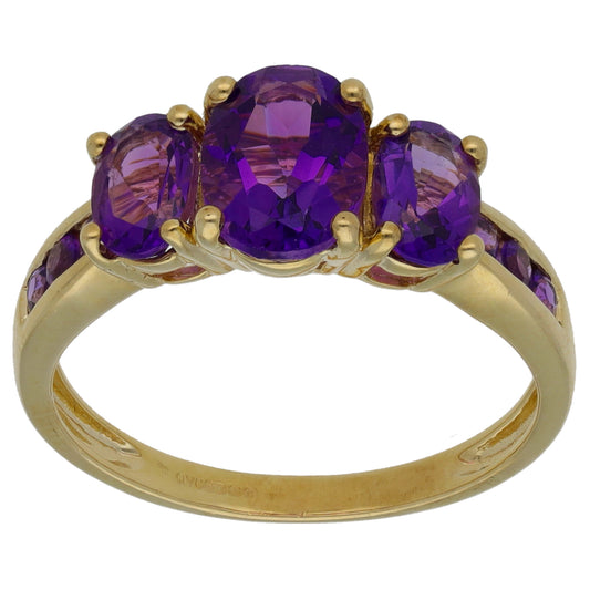 9ct Gold Amethyst Dress/Cocktail Ring Size P