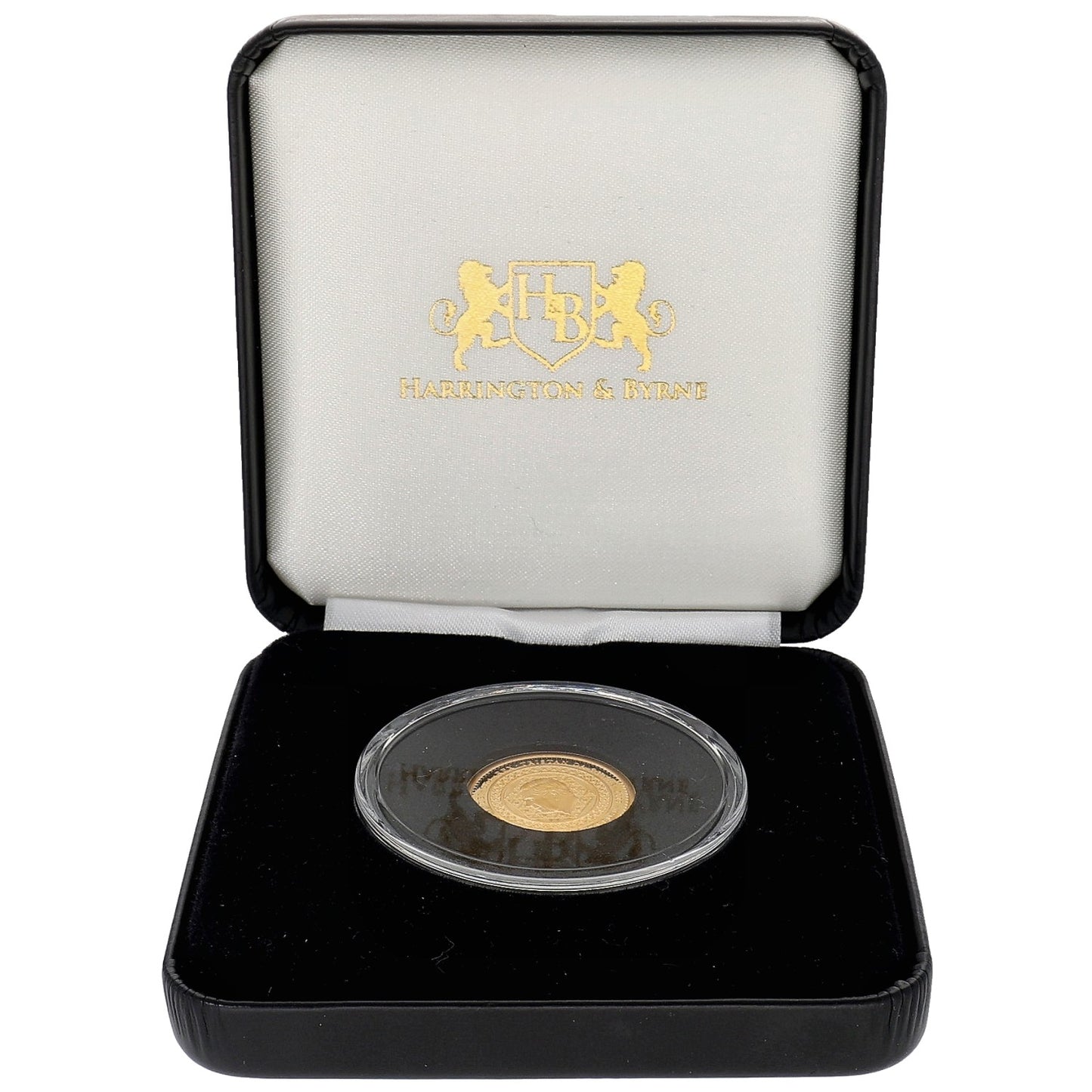 22ct Gold King Charles III Half Sovereign Coin 2023