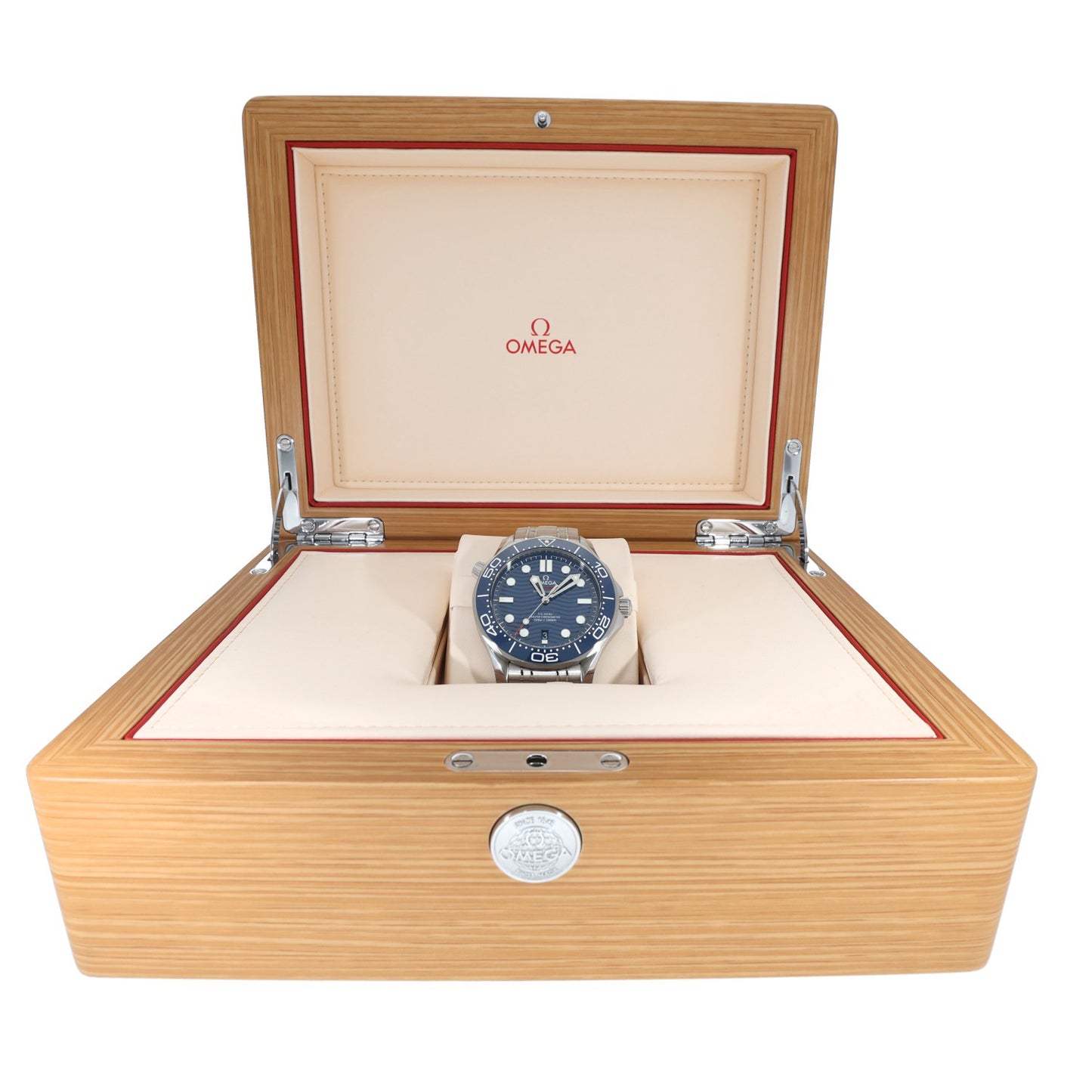 Omega Seamaster 210.30.42.20.03.001 42mm Stainless Steel Watch