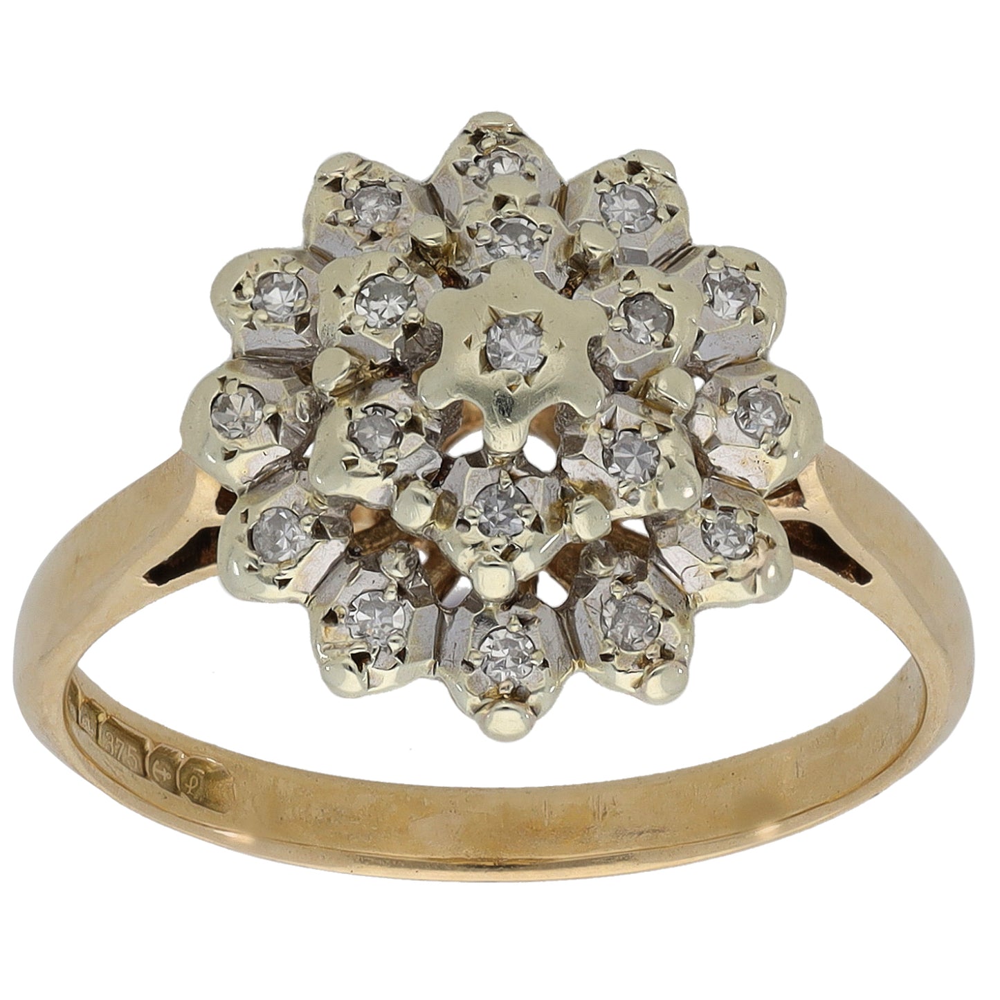 9ct Gold 0.19ct Diamond Cluster Ring Size N