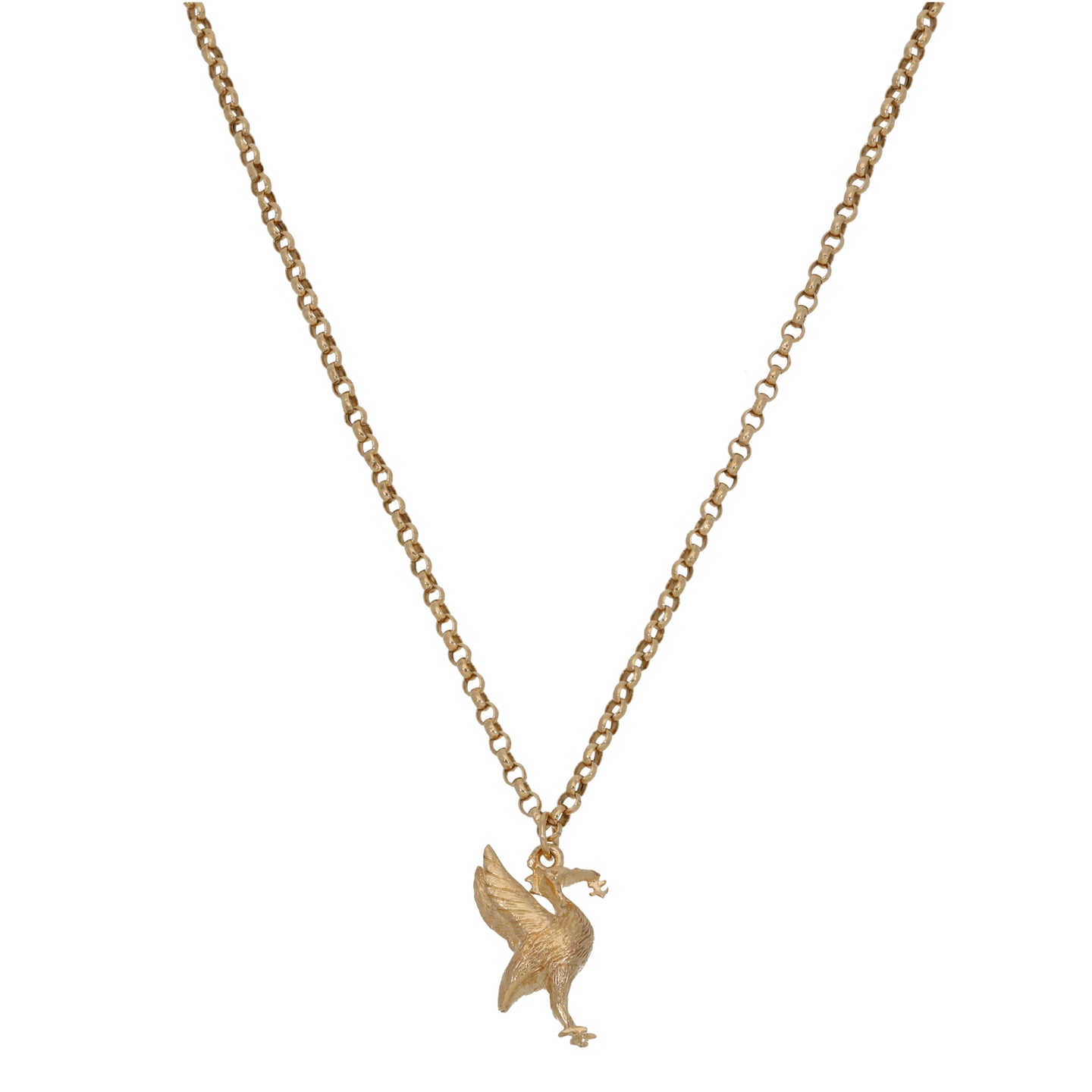 9ct Gold Animal Pendant With Chain