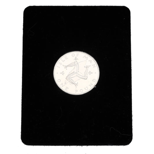 Platinum Queen Elizabeth II Isle Of Man £1 Coin 1978